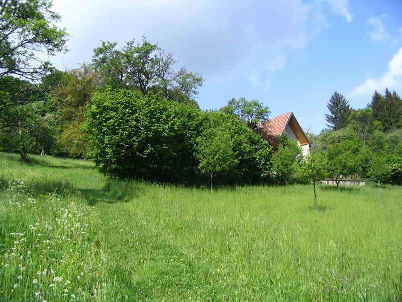 Vrchni chata
